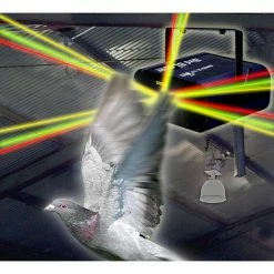 Bird-X Original indoor Repeller Laser Repel Pigeons Scare Birds Deterrent Repellent -Everbilt Sales Store bird x animal barriers bx laser in 31 1000