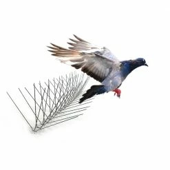 Bird-X 10 ft. Original Extra-Wide Stainless Steel Bird Spikes Bird Control