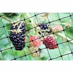 Bird-X 100 ft. x 14 ft. Standard Bird Netting -Everbilt Sales Store bird x animal barriers net std 100 14 31 1000