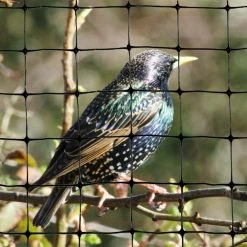Bird-X 100 ft. x 14 ft. Standard Bird Netting -Everbilt Sales Store bird x animal barriers net std 100 14 fa 1000