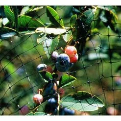 Bird-X 200 ft. x 14 ft. Standard Bird Netting -Everbilt Sales Store bird x animal barriers net std 200 14 4f 1000