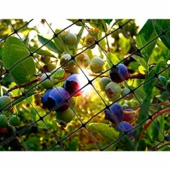 Bird-X 200 ft. x 14 ft. Structural Bird Netting -Everbilt Sales Store bird x animal barriers net str 200 fa 1000