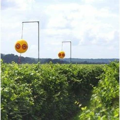 Bird-X Original Scare Eye Bird Chaser Bird Deterrent, Owl Eyes Bird Repeller 5 Bird-X Original Scare Eye Bird Chaser Bird Deterrent, Owl Eyes Bird Repeller -Everbilt Sales Store bird x animal barriers se y 31 1000