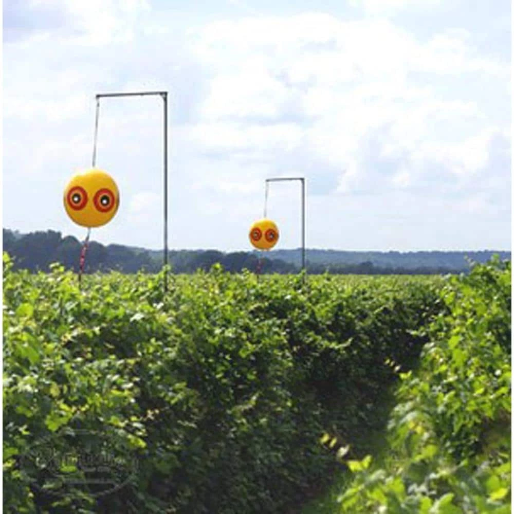 Bird-X Original Scare Eye Bird Chaser Bird Deterrent, Owl Eyes Bird Repeller 3 Bird-X Original Scare Eye Bird Chaser Bird Deterrent, Owl Eyes Bird Repeller - Image 3