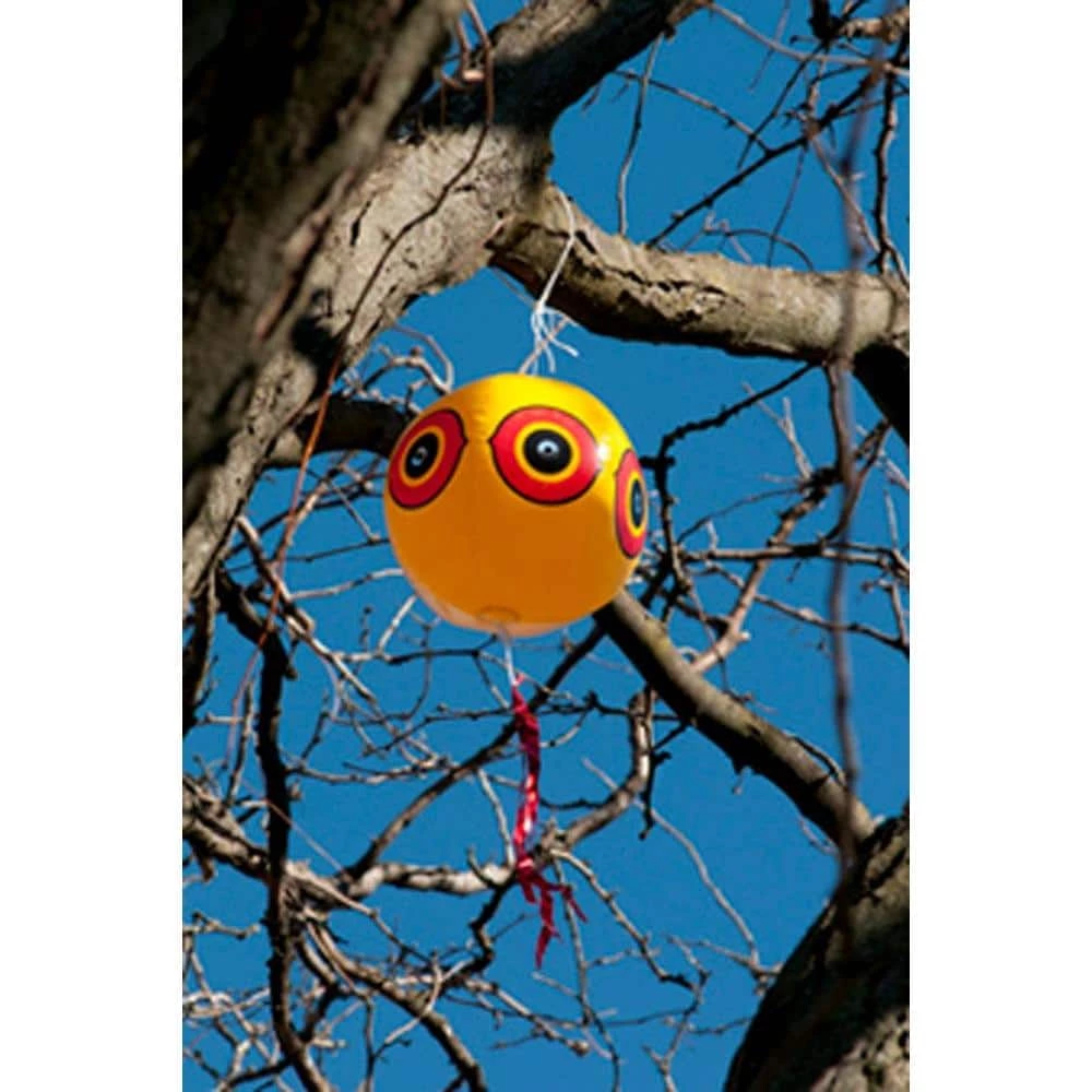 Bird-X Original Scare Eye Bird Chaser Bird Deterrent, Owl Eyes Bird Repeller 2 Bird-X Original Scare Eye Bird Chaser Bird Deterrent, Owl Eyes Bird Repeller - Image 2