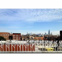 Bird-X 100 ft. Plastic Bird Spikes -Everbilt Sales Store bird x animal barriers sp 100 4f 1000