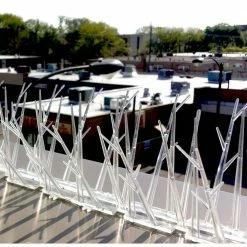 Bird-X 100 ft. Plastic Bird Spikes