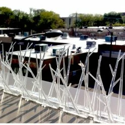 Bird-X 50 ft. Original Plastic Bird Spikes Kit Pigeon Repellent -Everbilt Sales Store bird x animal barriers sp 50 1f 1000