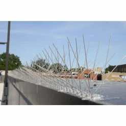 Bird-X 50 ft. Stainless Steel Bird Spikes Pigeons Starling Blackbirds Seagulls 6 in. Coverage -Everbilt Sales Store bird x animal barriers sts 50 1f 1000