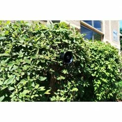 Bird-X Goose Buster PRO 2 Acres Electronic Goose Repeller -Everbilt Sales Store bird x animal repellents gb 1 1f 1000