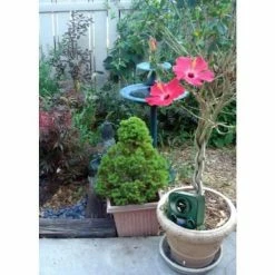 Bird-X #1 Best Seller Solar Yard Gard Ultrasonic Animal Repeller Animal Control -Everbilt Sales Store bird x animal repellents yg solar 44 1000