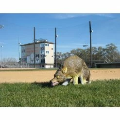 Bird-X Wind Movement 3-D Coyote Replica 5 Bird-X Wind Movement 3-D Coyote Replica -Everbilt Sales Store bird x animal traps coyote 3d 31 1000