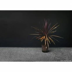 Root Pouch 2 Gal. Boxer Brown Breathable Fabric Planting Containers and Pots Planter (10-Pack) -Everbilt Sales Store brown root pouch grow bags bb900 02 4f 1000