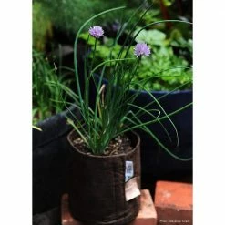 Root Pouch 5 Gal. Breathable Fabric Planting Containers and Pots Planter No Handle (5-Pack) -Everbilt Sales Store brown root pouch grow bags bb900 05 4f 1000