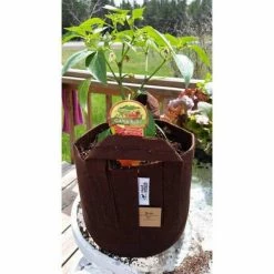 Root Pouch 5 Gal. Breathable Fabric Planting Containers and Pots Planter with handles (5-Pack) 7 Root Pouch 5 Gal. Breathable Fabric Planting Containers and Pots Planter with handles (5-Pack) -Everbilt Sales Store brown root pouch grow bags bb900 05h 1f 1000