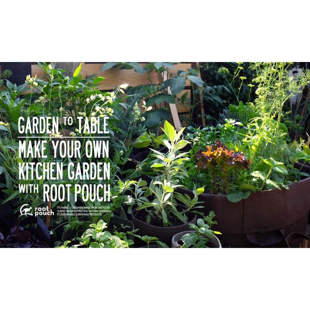 Root Pouch 5 Gal. Breathable Fabric Planting Containers and Pots Planter with handles (5-Pack) 2 Root Pouch 5 Gal. Breathable Fabric Planting Containers and Pots Planter with handles (5-Pack) - Image 2