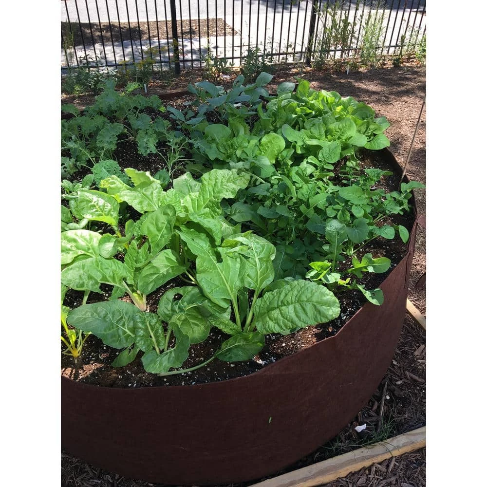 Root Pouch 150 Gal. Breathable Boxer Brown Fabric Planting Containers and Pots Planter (1-Pack) 2 Root Pouch 150 Gal. Breathable Boxer Brown Fabric Planting Containers and Pots Planter (1-Pack) - Image 2