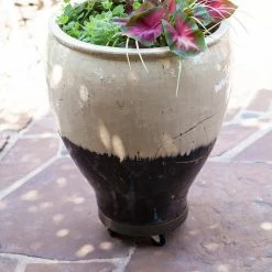 Devault Enterprises 12 in. Espresso Round HDPE Plant Dolly/Caddy -Everbilt Sales Store devault enterprises planter caddies dev3012e 31 1000