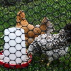 Everbilt 3/4 in. x 3 ft. x 25 ft. Black Plastic Poultry Fence -Everbilt Sales Store everbilt chicken wire 889240eb 44 1000