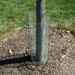 Everbilt 1/4 in. x 2 ft. x 5 ft. 23-Gauge Galvanized Steel Hardware Cloth -Everbilt Sales Store everbilt garden fencing 308231eb 76 1000