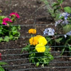 Everbilt 2.3 ft. x 50 ft. PVC Green Garden Fence Welded Wire -Everbilt Sales Store everbilt garden fencing 308376eb 4f 1000