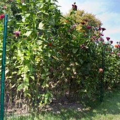 Everbilt 3 ft. x 50 ft. Black PVC Coated Welded Wire -Everbilt Sales Store everbilt garden fencing 308381eb 4f 1000