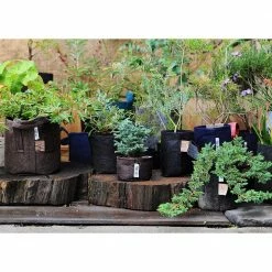 Root Pouch 1 Gal. Boxer Forest Green Breathable Fabric Planting Containers and Pots Planter (10-Pack) -Everbilt Sales Store forest green root pouch grow bags bf900 01 4f 1000