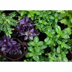 Root Pouch 2 Gal. Boxer Forest Green Breathable Fabric Planting Containers and Pots Planter (10-Pack) 9 Root Pouch 2 Gal. Boxer Forest Green Breathable Fabric Planting Containers and Pots Planter (10-Pack) -Everbilt Sales Store forest green root pouch grow bags bf900 02 44 1000