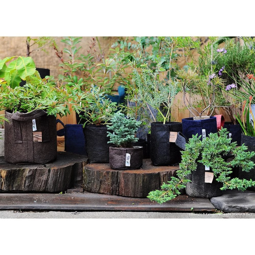 Root Pouch 2 Gal. Boxer Forest Green Breathable Fabric Planting Containers and Pots Planter (10-Pack) 3 Root Pouch 2 Gal. Boxer Forest Green Breathable Fabric Planting Containers and Pots Planter (10-Pack) - Image 3