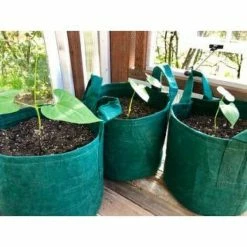 Root Pouch 2 Gal. Forest Green Breathable Fabric Planting Containers and Pots Planter with Handle (5-Pack) -Everbilt Sales Store forest green root pouch grow bags bf900 02h 4f 1000