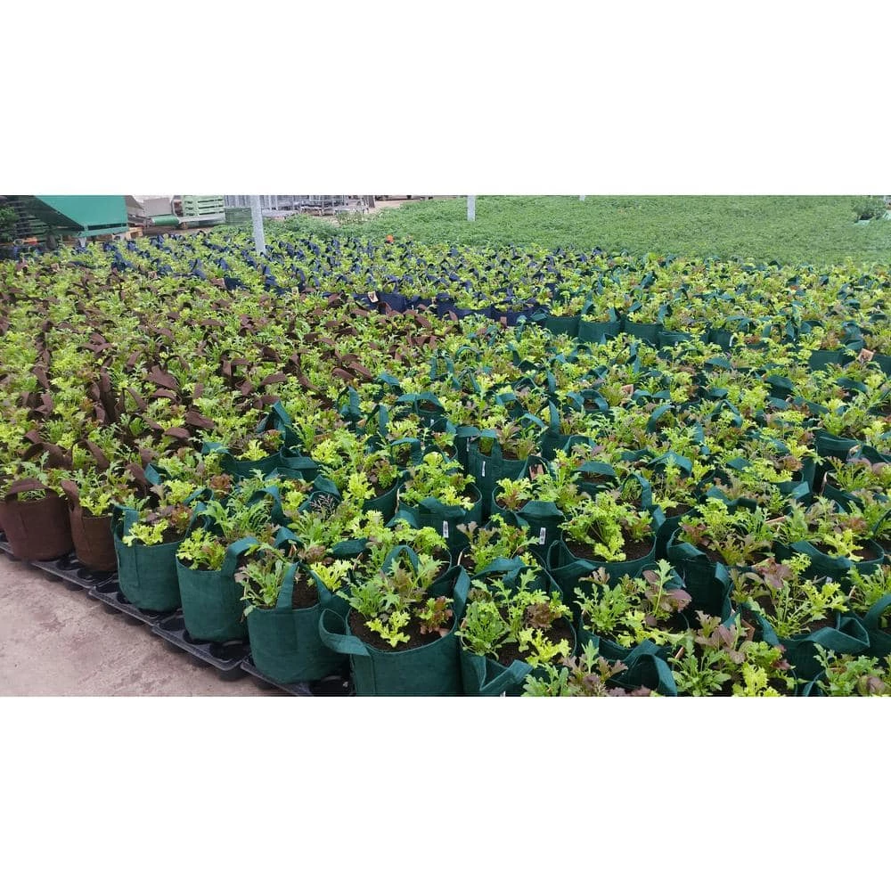 Root Pouch Breathable 10 Gal. Forest Green Fabric Boxer Planting Containers and Pots Planter with Handles (5-Pack) 3 Root Pouch Breathable 10 Gal. Forest Green Fabric Boxer Planting Containers and Pots Planter with Handles (5-Pack) - Image 3