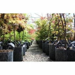 Root Pouch 10 Gal. Grey Breathable Fabric Planting Containers with Handles (5-Pack) -Everbilt Sales Store gray root pouch grow bags g200 10h 4f 1000