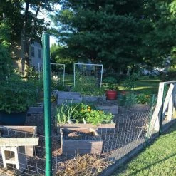 Everbilt 1 in. x 2.25 in. x 7 ft. Green Steel U Fence Post -Everbilt Sales Store green everbilt garden fencing 901157eb 1f 1000