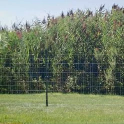 Everbilt 1-3/4 in. x 3-1/2 in. x 7 ft. Green Steel Fence T-Post -Everbilt Sales Store green everbilt garden fencing 901177eb 1f 1000