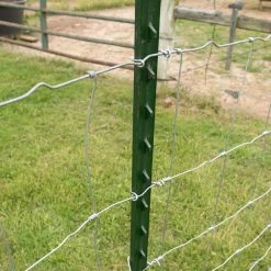 Everbilt 1-3/4 in. x 3-1/2 in. x 6-1/2 ft. Green Steel Fence T-Post -Everbilt Sales Store green everbilt garden fencing 901178eb 44 1000