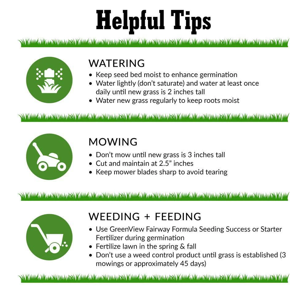 GreenView 20 lbs. Fairway Formula Grass Seed Sun and Shade Mixture 7 GreenView 20 lbs. Fairway Formula Grass Seed Sun and Shade Mixture - Image 7