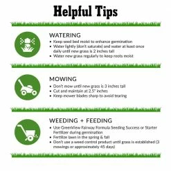 GreenView 7 lbs. Fairway Formula Grass Seed Kentucky Bluegrass Blend -Everbilt Sales Store greenview grass seed 2829868 76 1000