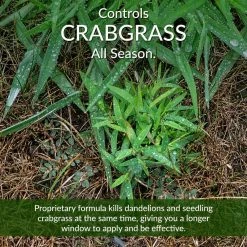 GreenView 36 lbs. Fairway Formula Spring Fertilizer Weed and Feed and Crabgrass Preventer, Covers 10,000 sq. ft. (24-0-6) -Everbilt Sales Store greenview lawn fertilizers 2129193 4f 1000
