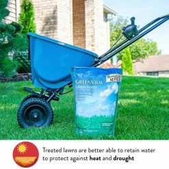GreenView 16 lbs. Lawn Food, Covers 5,000 sq. ft. (22-0-4) -Everbilt Sales Store greenview lawn fertilizers 2131176 1f 1000