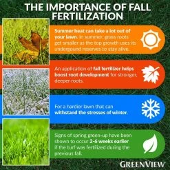 GreenView 16 lbs. Fall Lawn Food, Covers 5,000 sq. ft. (22-0-10) 10 GreenView 16 lbs. Fall Lawn Food, Covers 5,000 sq. ft. (22-0-10) -Everbilt Sales Store greenview lawn fertilizers 2131182 1f 1000