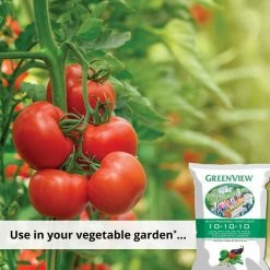 GreenView 33 lb. Multi-Purpose Fertilizer -Everbilt Sales Store greenview plant food fertilizer 2129872 4f 1000