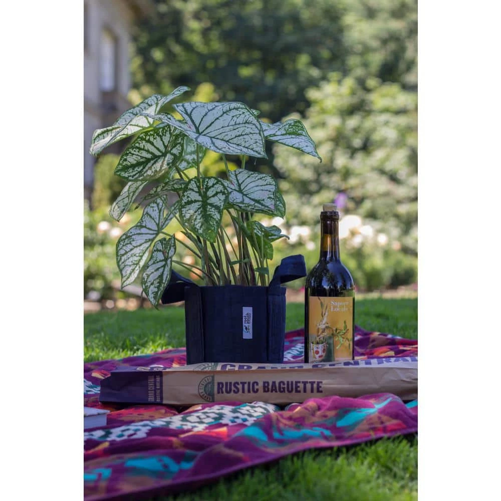 Root Pouch 3 Gal. Breathable Boxer Navy Fabric Planting Containers with Handle and Pots Planter (5-Pack) 2 Root Pouch 3 Gal. Breathable Boxer Navy Fabric Planting Containers with Handle and Pots Planter (5-Pack) - Image 2