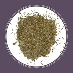 Pennington 10 lb. Annual Ryegrass Seed -Everbilt Sales Store pennington grass seed 100082632 4f 1000