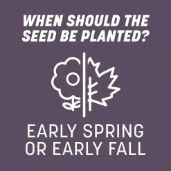 Pennington 10 lb. Annual Ryegrass Seed -Everbilt Sales Store pennington grass seed 100082632 fa 1000