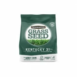 Pennington 3 lbs. KY 31 Fescue Grass Seed