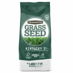 Pennington 7 lbs. KY 31 Fescue Grass Seed