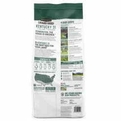 Pennington 7 lbs. KY 31 Fescue Grass Seed -Everbilt Sales Store pennington grass seed 100516051 77 1000
