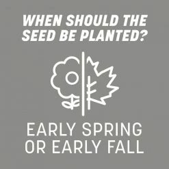 Pennington 40 lb. Central Contractors Seed Mix -Everbilt Sales Store pennington grass seed 100520262 44 1000