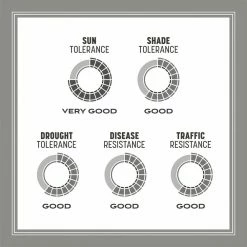 Pennington 40 lb. Central Contractors Seed Mix -Everbilt Sales Store pennington grass seed 100520262 a0 1000