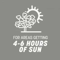 Pennington 20 lbs. Southern Contractors Grass Seed Mix -Everbilt Sales Store pennington grass seed 100520263 1d 1000